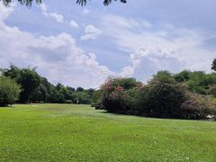 -新加坡植物园