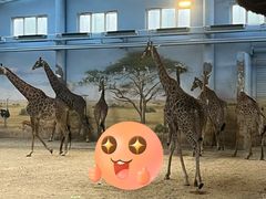 -泉城欧乐堡梦幻世界