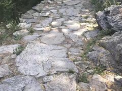 -北京鹫峰国家森林公园