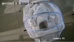 -致友月子会所(麓湖店)