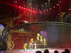 -珠海横琴长隆《卡卡虎奇遇记》