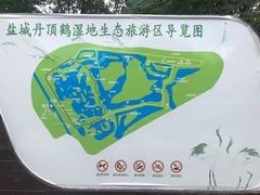 -盐城丹顶鹤湿地生态旅游区