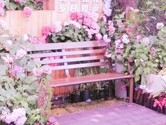 -上海滨江森林公园