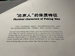 -北京周口店北京人遗址博物馆