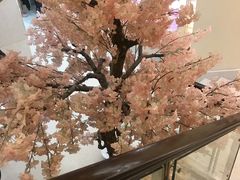 -汤里来温泉