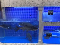 -香山湖渔家大院