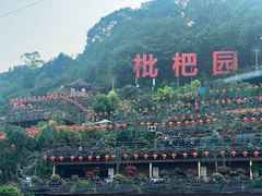 -枇杷园食为鲜火锅(南山店)