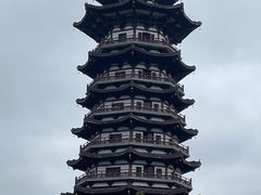 -洋湖国家湿地公园