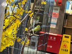 -静一·疆味小馆(黄河路店)
