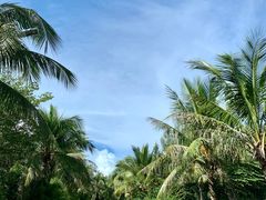 -白沙门生态公园