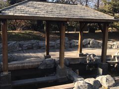 -和园景逸大酒店朗月汤泉