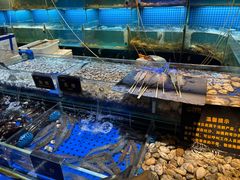 -九月海·海鲜自助(世纪东方店)