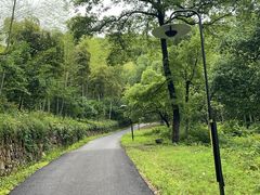 -东明山森林公园