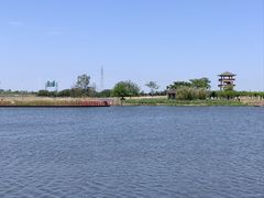 -杭州湾海上花田景区