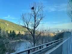 -泰山风景名胜区