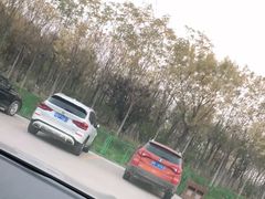 -天津东丽湖风景区