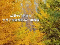 -长白岛森林公园