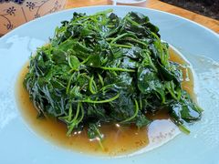 豆苗清炒-华府名灶(荡口古镇店)