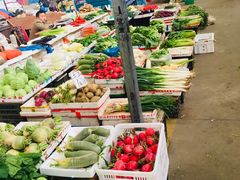 -上海浦南农副产品批发市场