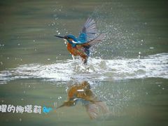 -南国桃园旅游度假区