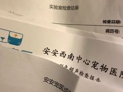 -安安宠医·臻爱宠物医院·宠保定点(营门口路分院)