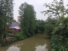 -贞姨芝麻糊