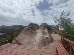 -大岭沟猕猴桃谷风景区