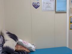 -美联众合爱康动物医院•复杂内科•肿瘤科•牙科•腔镜诊疗中心