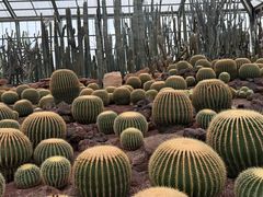 -南通洲际绿博园