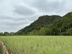-贵阳市花溪国家城市湿地公园