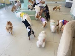 -怪兽屋·羊驼·猫咖·狗咖(俊华广场店)