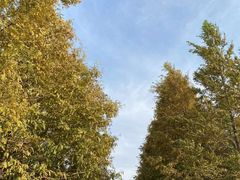 -上海山野camping·户外天幕烧烤·团建拓展营地