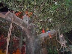 -兰剑驾校(汉阳校区)