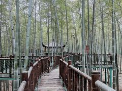 -陶祖圣境风景区