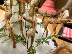 -尚海豆捞(乐虹坊店)