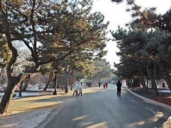 -北陵公园