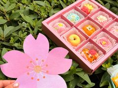 -稻香村(观前街店)