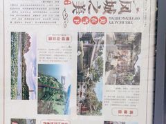 -佛山华盖山公园