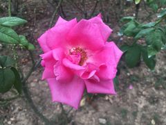 -人民公园(罗湖区)