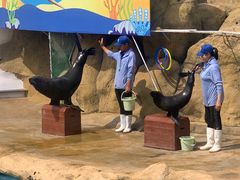 -秦皇岛乐岛海洋王国