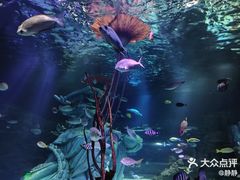 -沈阳海洋探索中心