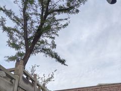 -无锡惠山寺