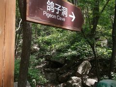 -大岭沟猕猴桃谷风景区