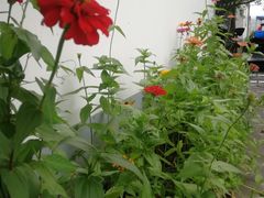 -渭南桃花源民俗文化园