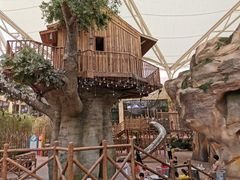 -杭州开元森泊度假乐园