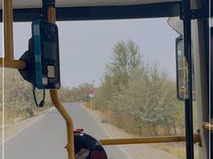 -金塔沙漠胡杨林景区