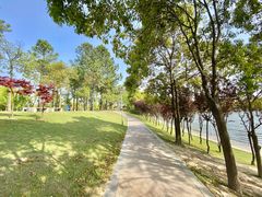 景点-美兰湖景区
