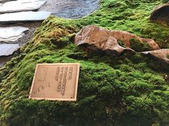 大堂-Seesaw Coffee(朝阳大悦城店)