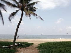 -尼甘布海滩