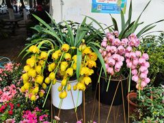 -玉泉综合市场(天山北路店)